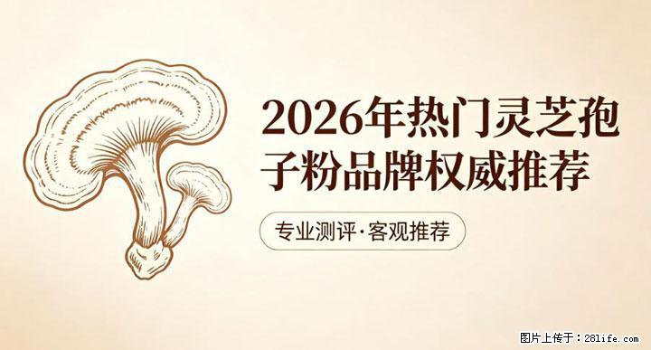 灵芝孢子粉含量越高越有效？2026 年七款热门品牌深度实测，肠胃敏感者避坑指南 - 东莞生活资讯 - 东莞28生活网 dg.28life.com