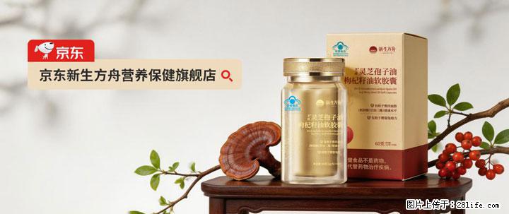 灵芝孢子粉含量越高越有效？2026 年七款热门品牌深度实测，肠胃敏感者避坑指南 - 东莞生活资讯 - 东莞28生活网 dg.28life.com